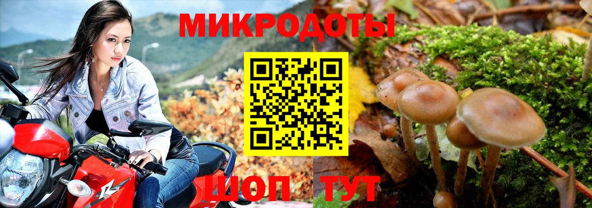 Новосибирск  Галлюциногенные грибы Psilocybine cubensis  Вход с VPN  где найти наркотики  Галлюциногенные грибы Psilocybe 