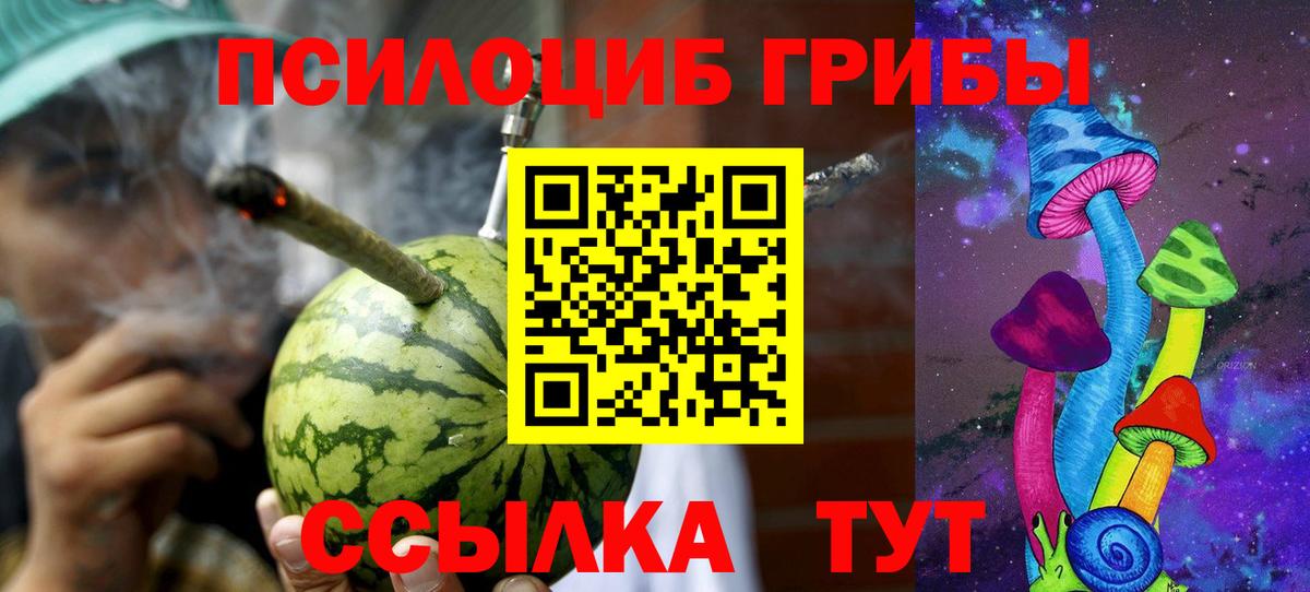 Галлюциногенные грибы Magic Shrooms Новосибирск